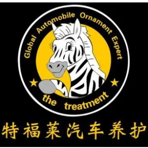 稀土高新區特福萊汽車裝飾店